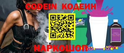 индика Можга
