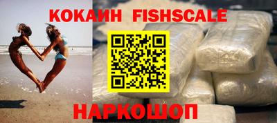 индика Можга