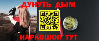 индика Можга