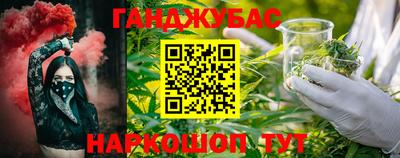 индика Можга