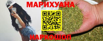 индика Можга