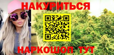индика Можга