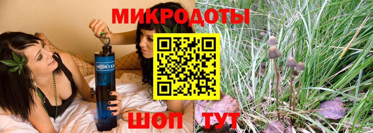 Псилоцибиновые грибы мицелий Владикавказ